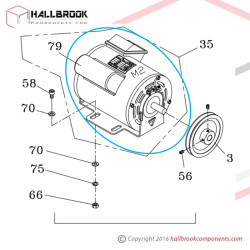 T6-6-30054 Motor (M2) (For 110V/1PH)