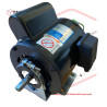 T6-6-30051 Motor (M1) (For 110V/1PH)