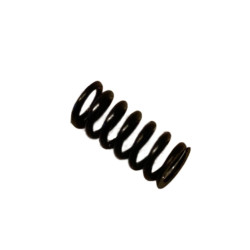 H46-42000 Spring
