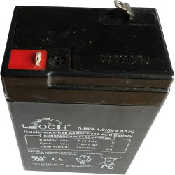 Battery LP6-4.0(6V4.0AH)