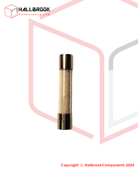 T6-6-30033 Fuse (5A) (For 220V, 230V, 240V)