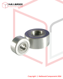 BRNAST6 Bearing, Nast6