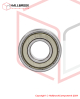 EXT 3030202N BEARING 6202-2NR