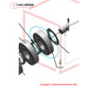 Driven wheel