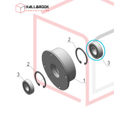 Bearing 61900
