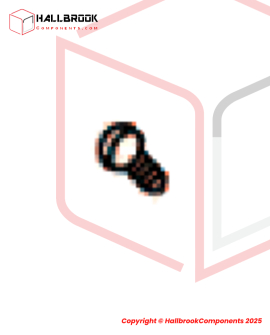 SCREW, FOR 6001006