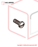 SCREW, FOR 6001611