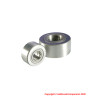 BRNAST6 Bearing, Nast6