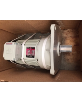 EXT 32903005 Gear Motor