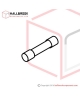 T6-6-30036 Fuse (1A)