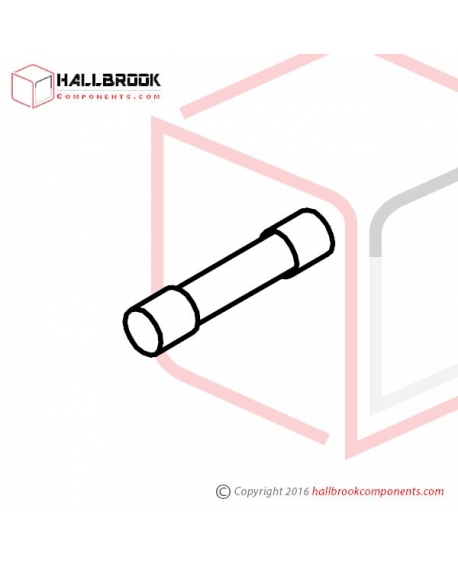 T6-6-30036 Fuse (1A)