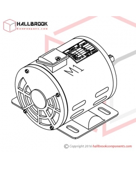 T6-6-10442 Motor (M1) (For 220V/3PH)